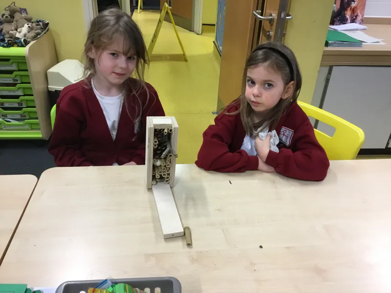 See our work in progress in this gallery! - image 62