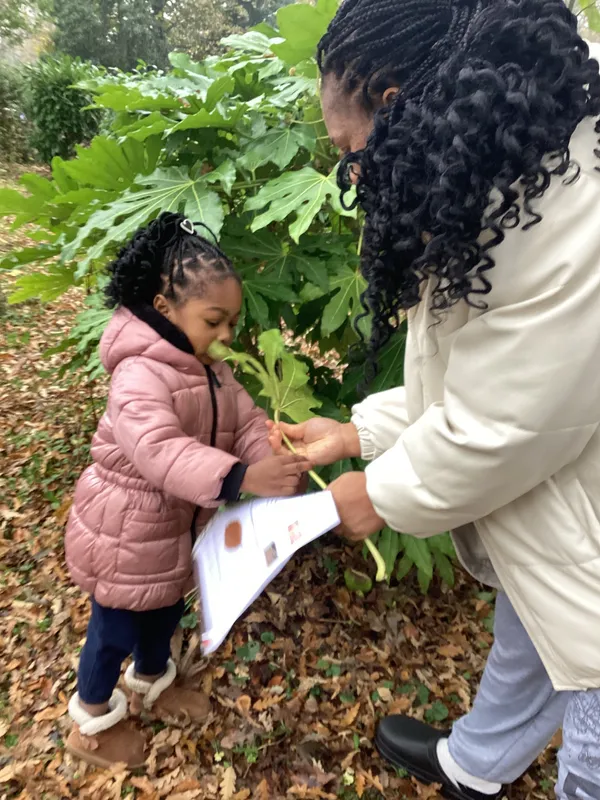 Gallery - created at 2024-11-05 15:27:50 - image 6 Gallery - created at 2024-11-05 15:27:50 - image 6