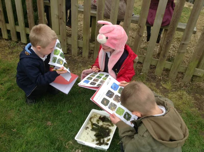 Gallery - created at 2020-02-19 15:50:09 - image 3