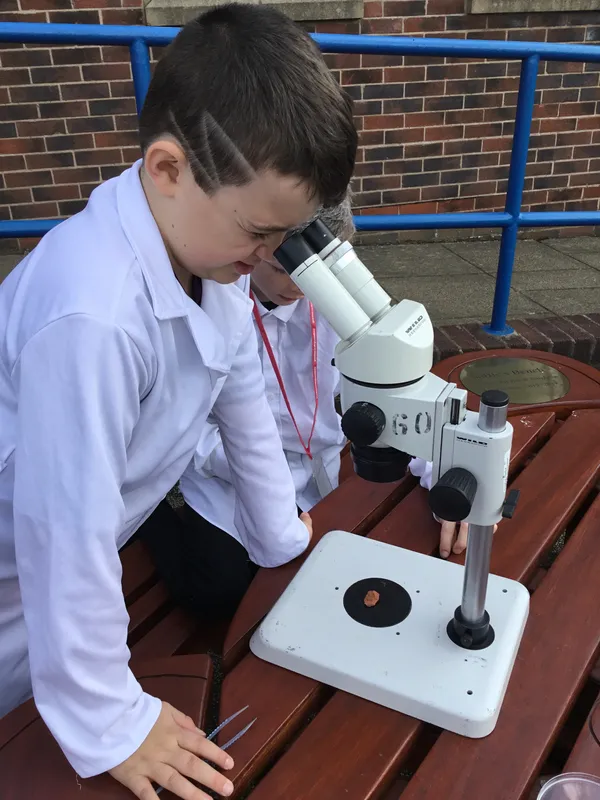 Gallery - created at 2019-09-17 19:22:10 - image 15 Gallery - created at 2019-09-17 19:22:10 - image 15