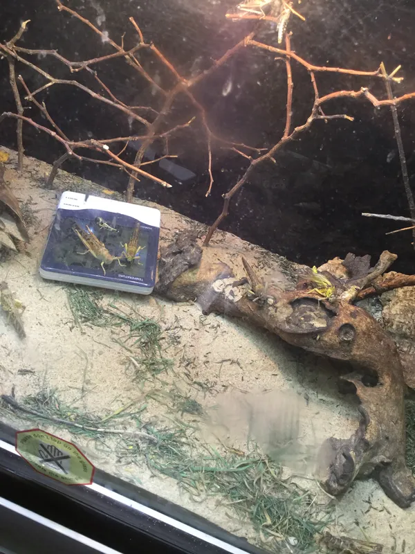 Gallery - created at 2018-03-23 08:06:24 - image 1 Gallery - created at 2018-03-23 08:06:24 - image 1