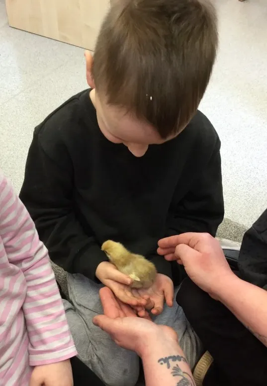 Life Cycles - image 8