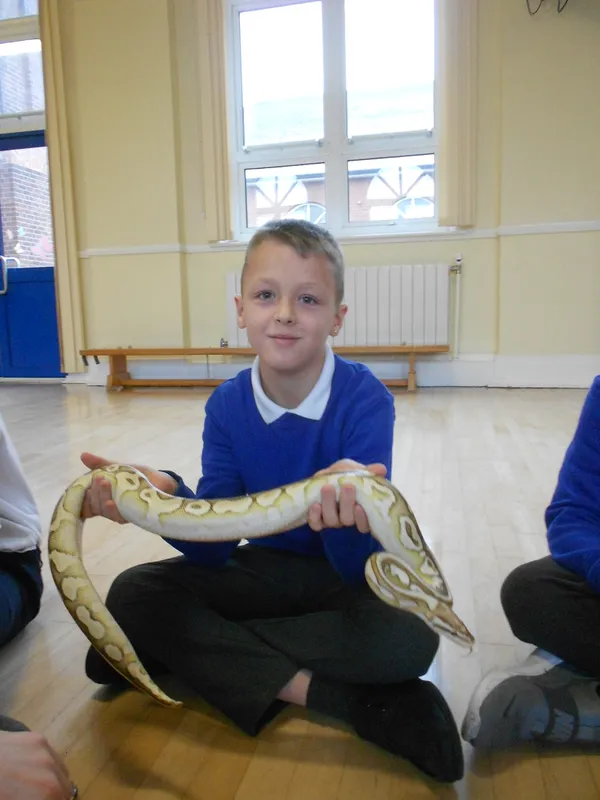 Y6 Reptile Rendezvous - image 54