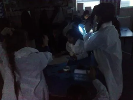 Gallery - created at 2018-01-17 17:01:08 - image 16