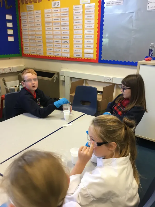 Gallery - created at 2019-09-17 19:22:10 - image 20 Gallery - created at 2019-09-17 19:22:10 - image 20