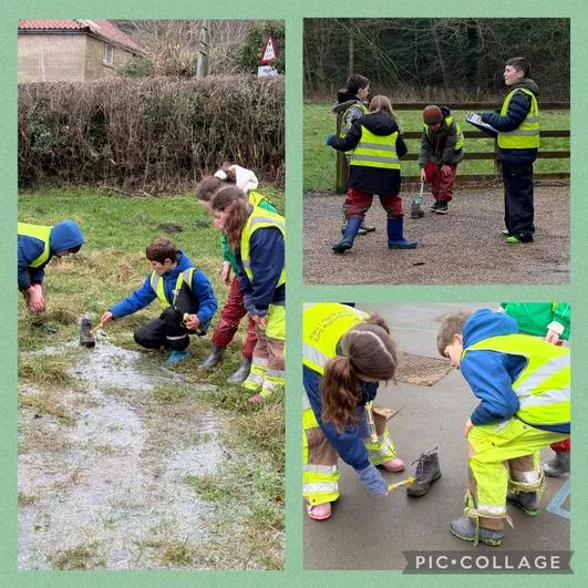 Forest School 21 - image 1 Forest School 21 - image 1