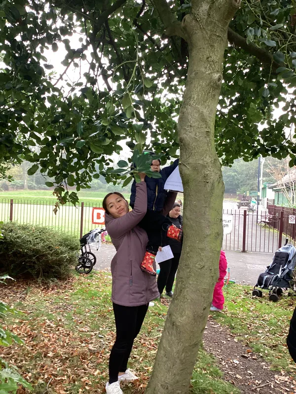 Gallery - created at 2024-11-08 10:10:59 - image 71 Gallery - created at 2024-11-08 10:10:59 - image 71