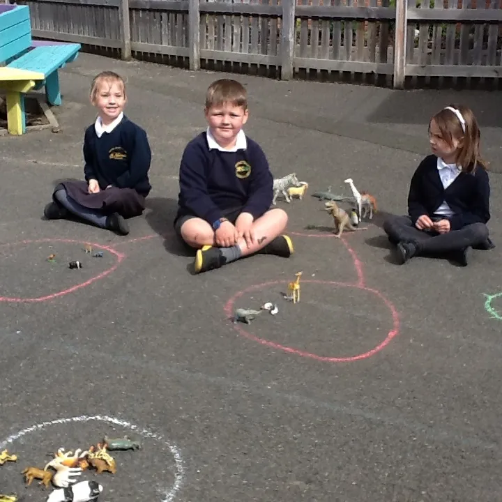 Gallery - created at 2021-05-07 11:55:38 - image 1