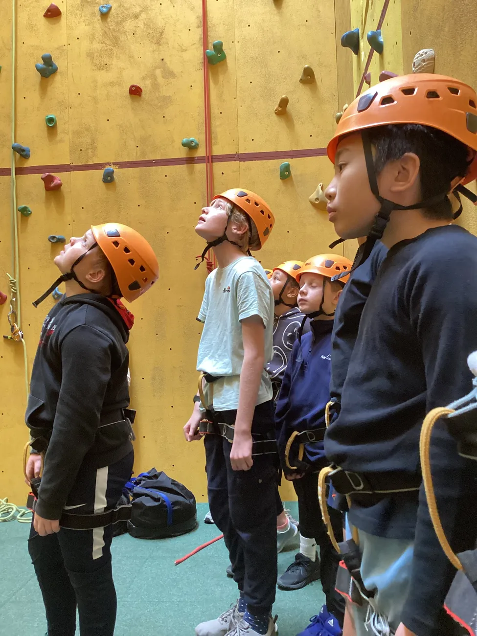 Gallery - created at 2024-09-18 20:08:11 - image 11 Gallery - created at 2024-09-18 20:08:11 - image 11