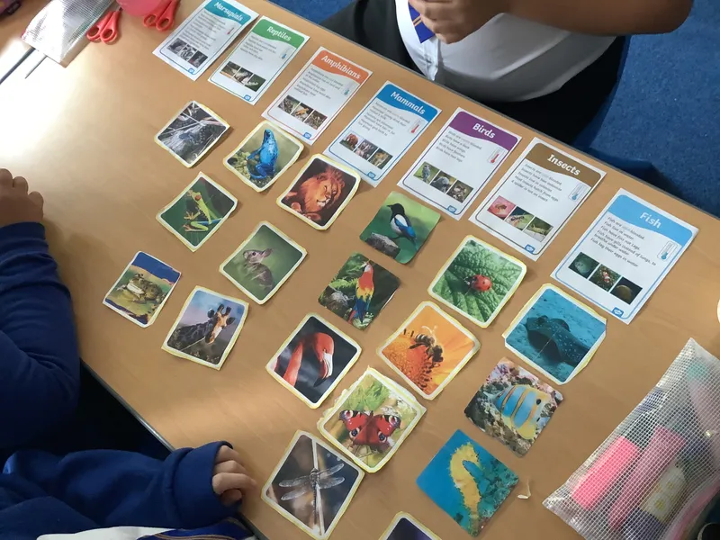 Gallery - created at 2025-09-21 14:34:39 - image 1 Gallery - created at 2025-09-21 14:34:39 - image 1