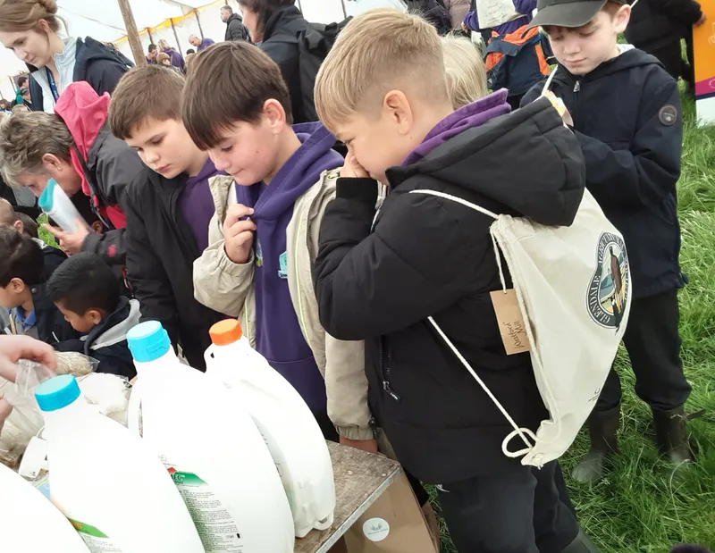 Gallery - created at 2025-06-06 10:40:13 - image 13 Gallery - created at 2025-06-06 10:40:13 - image 13