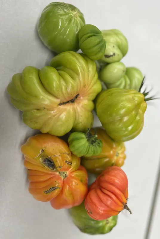 Gallery - created at 2025-10-12 10:09:35 - image 3