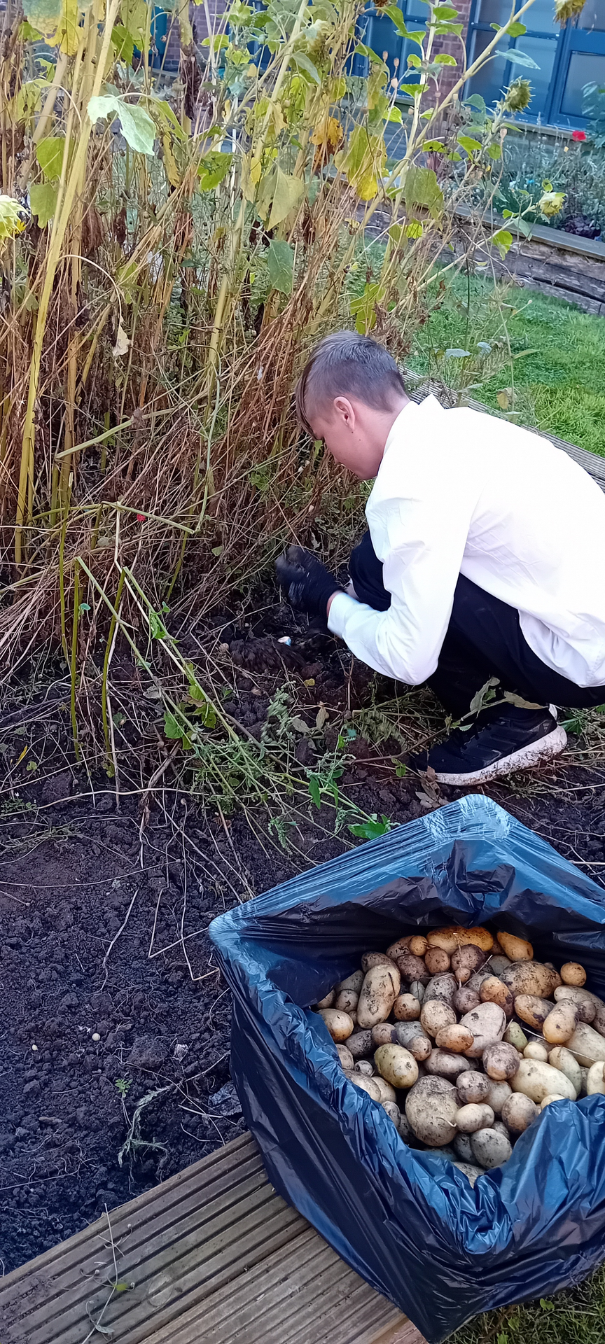 Students harvest the rewards of outdoor learning
