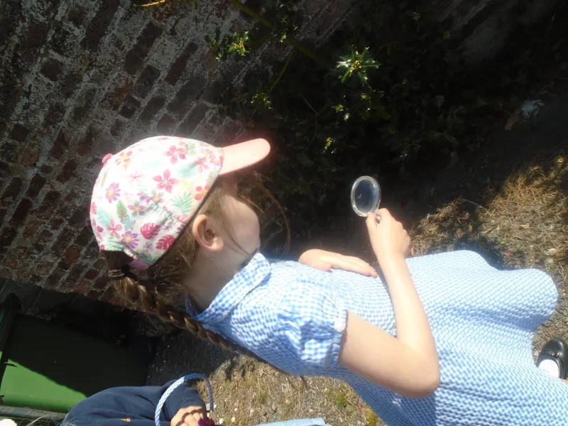 Gallery - created at 2019-05-22 16:34:12 - image 1 Gallery - created at 2019-05-22 16:34:12 - image 1