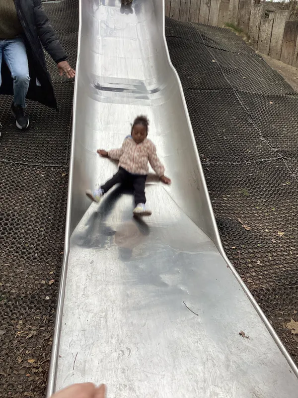 Gallery - created at 2024-11-08 10:10:59 - image 77 Gallery - created at 2024-11-08 10:10:59 - image 77