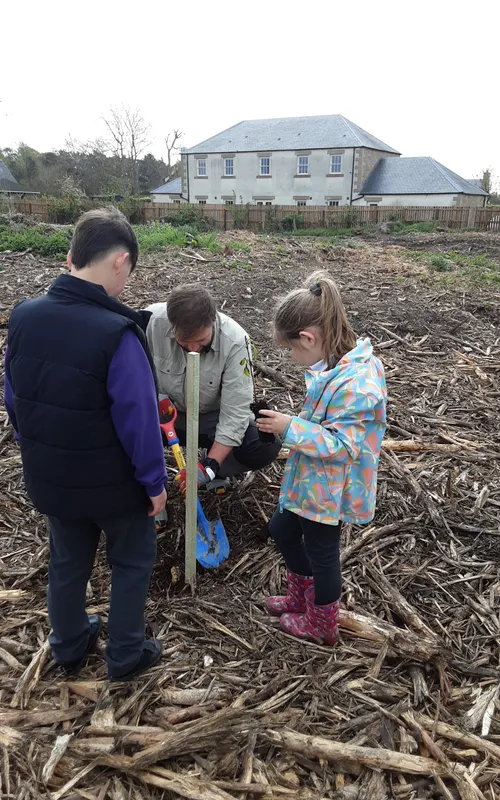 Gallery - created at 2025-04-30 13:12:16 - image 15 Gallery - created at 2025-04-30 13:12:16 - image 15