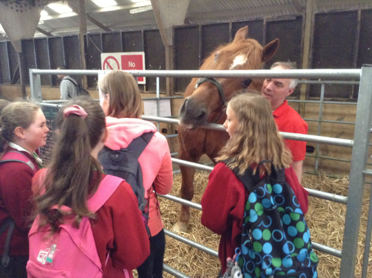 34.jpg