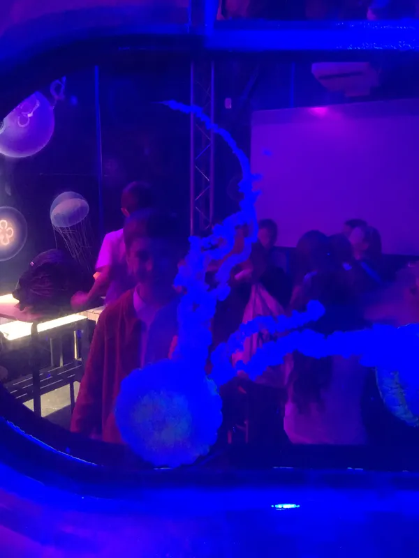 Year 5 Sealife Centre  - image 85