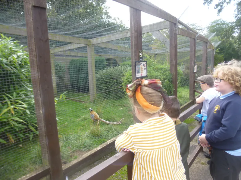 Gallery - created at 2019-02-15 13:51:20 - image 2 Gallery - created at 2019-02-15 13:51:20 - image 2