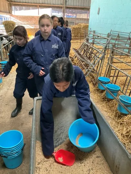 Farm Trip 25 - Gallery 2 - image 29