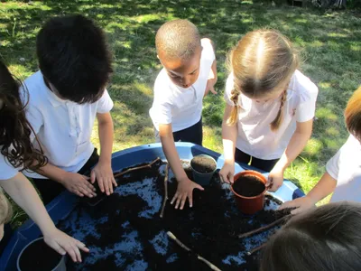 Planting - image 49