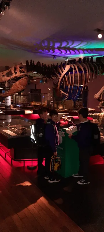 Whole School Trip to Newcastle  - image 26