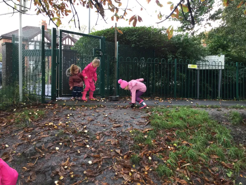 Cedar Forest School - image 28