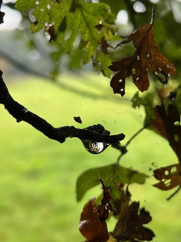 Gallery - created at 2023-10-15 15:16:55 - image 21