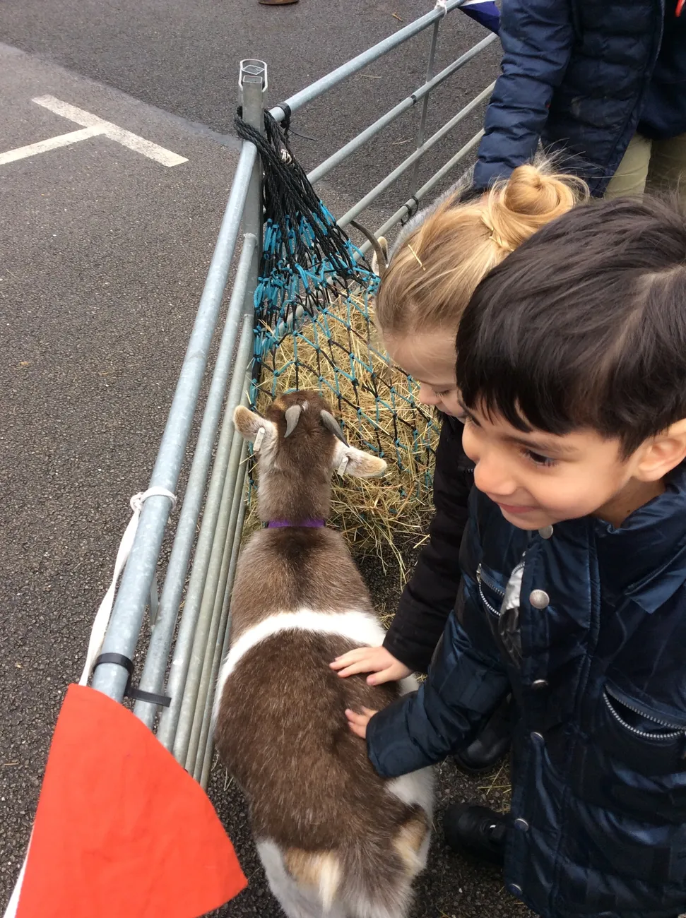 Gallery - created at 2023-03-03 16:33:51 - image 4