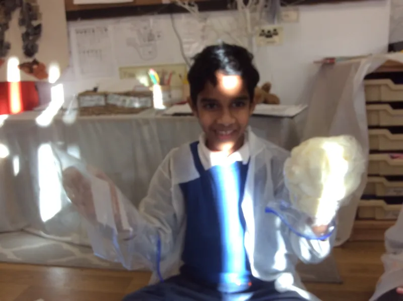 Gallery - created at 2024-02-15 10:37:57 - image 15 Gallery - created at 2024-02-15 10:37:57 - image 15