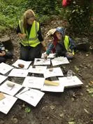 Forest School 94 - image 3 Forest School 94 - image 3