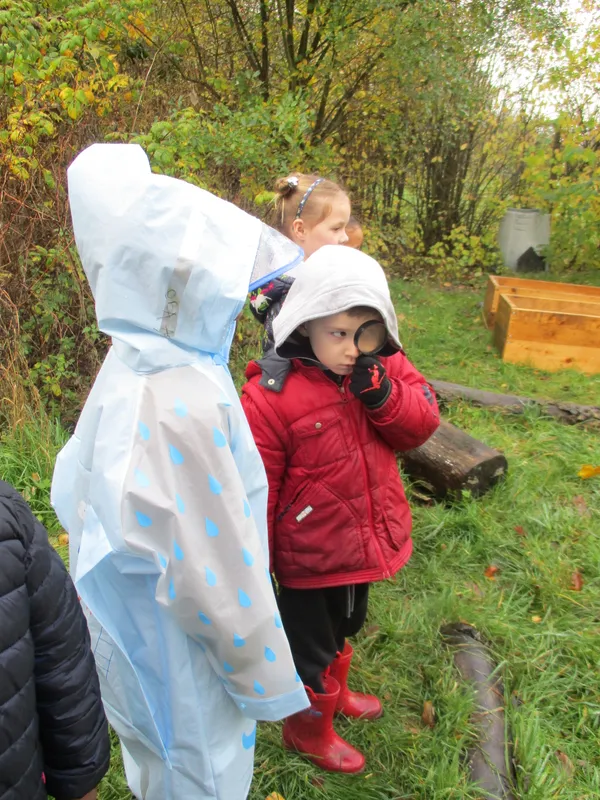Forest School Fun Year 1 - image 4 Forest School Fun Year 1 - image 4
