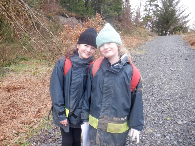 Gallery - created at 2025-02-26 20:19:52 - image 40