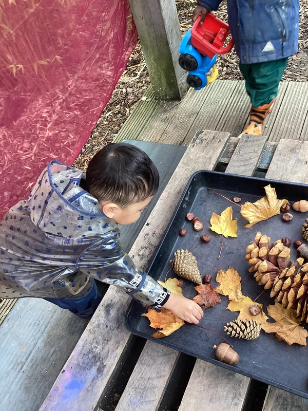 Gallery - created at 2024-10-31 07:35:31 - image 53 Gallery - created at 2024-10-31 07:35:31 - image 53