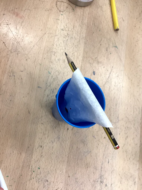 Science Week 2026 - image 35