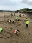 Forest School 126 - image 6 Forest School 126 - image 6