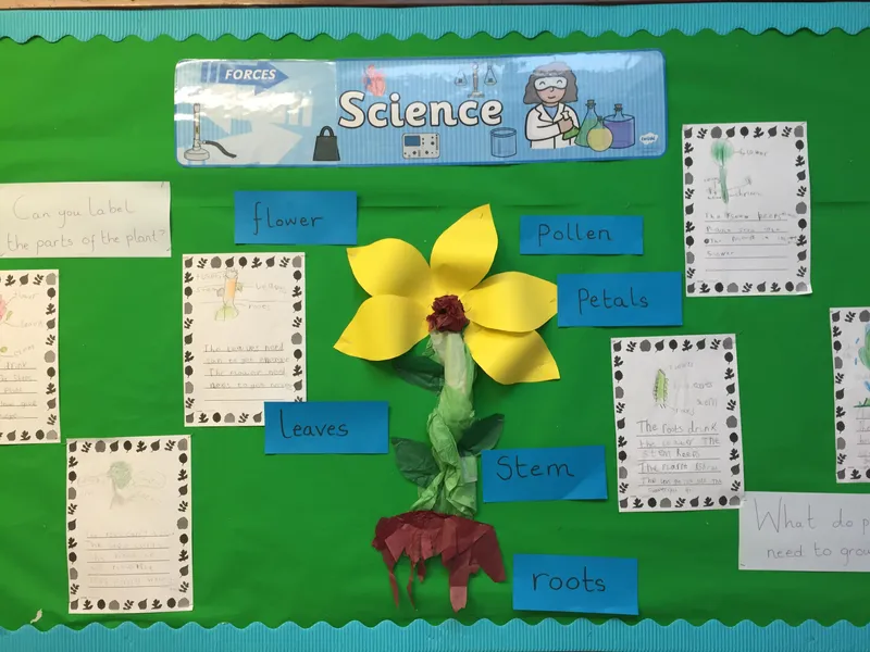 Science at Gade Valley Primary School - image 2 Science at Gade Valley Primary School - image 2