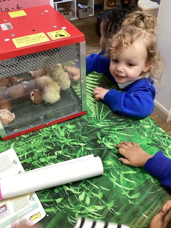 Gallery - created at 2025-04-08 15:36:47 - image 39