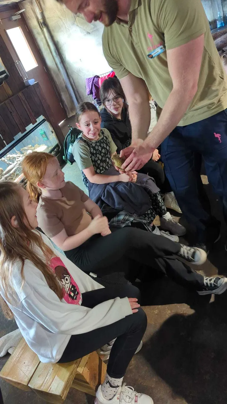 Gallery - created at 2024-06-06 15:03:55 - image 85