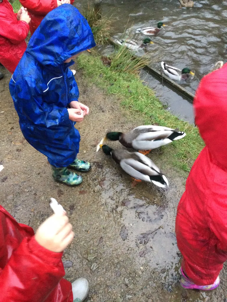 Healey Dell - image 13