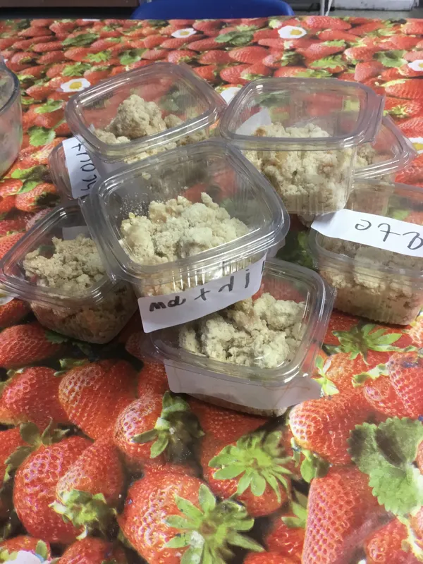 Gallery - created at 2023-10-06 18:16:31 - image 5