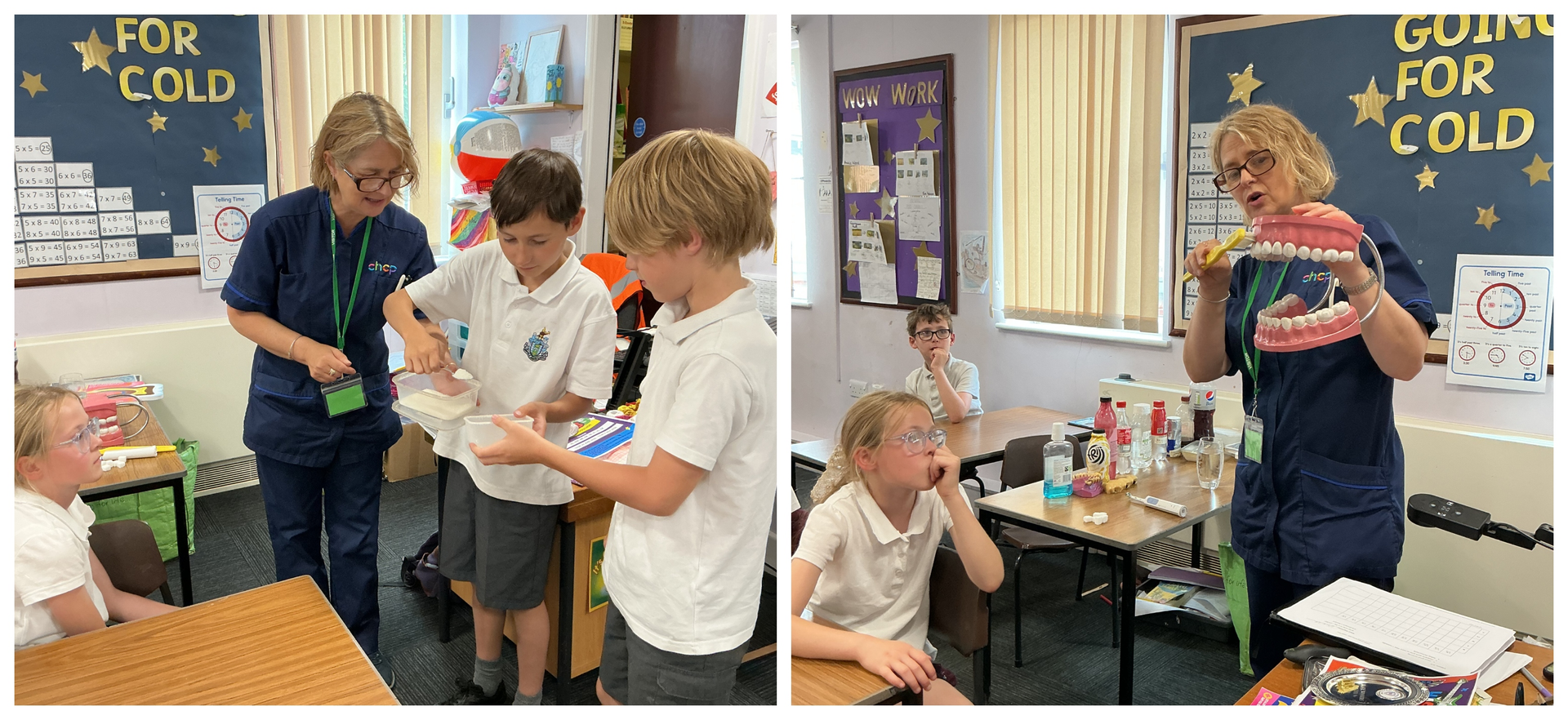 Teeth and Dental Hygiene in Year 4