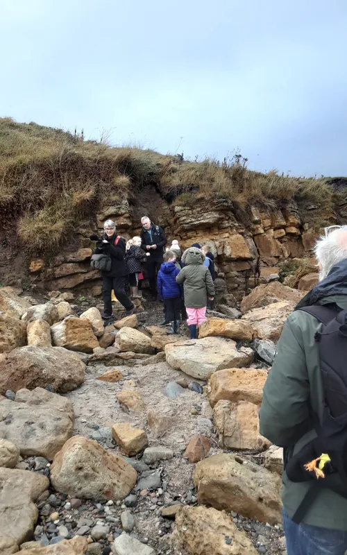 Gallery - created at 2024-10-11 14:26:20 - image 25 Gallery - created at 2024-10-11 14:26:20 - image 25