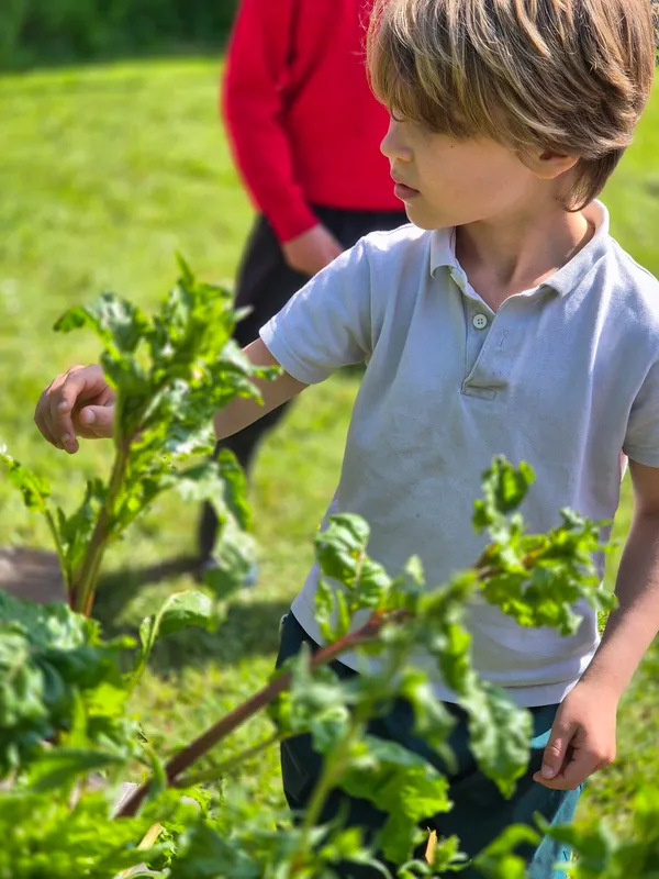 Gallery - created at 2024-05-10 11:40:23 - image 26