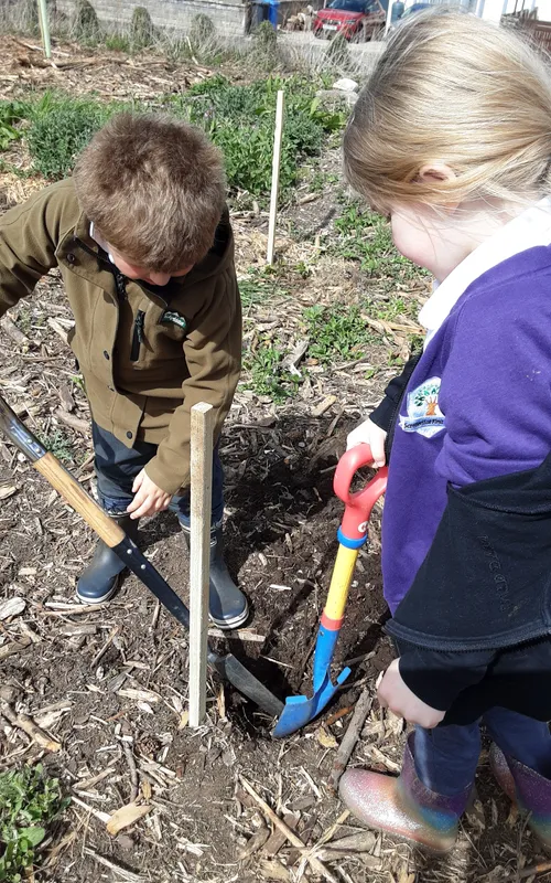 Gallery - created at 2025-04-30 13:12:16 - image 2 Gallery - created at 2025-04-30 13:12:16 - image 2