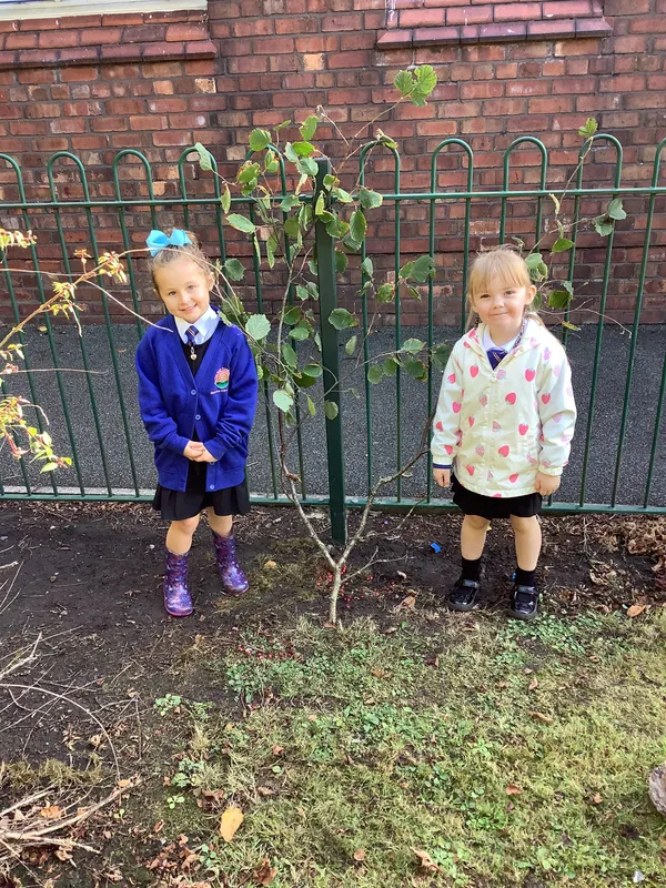 Gallery - created at 2025-09-17 14:10:36 - image 2 Gallery - created at 2025-09-17 14:10:36 - image 2