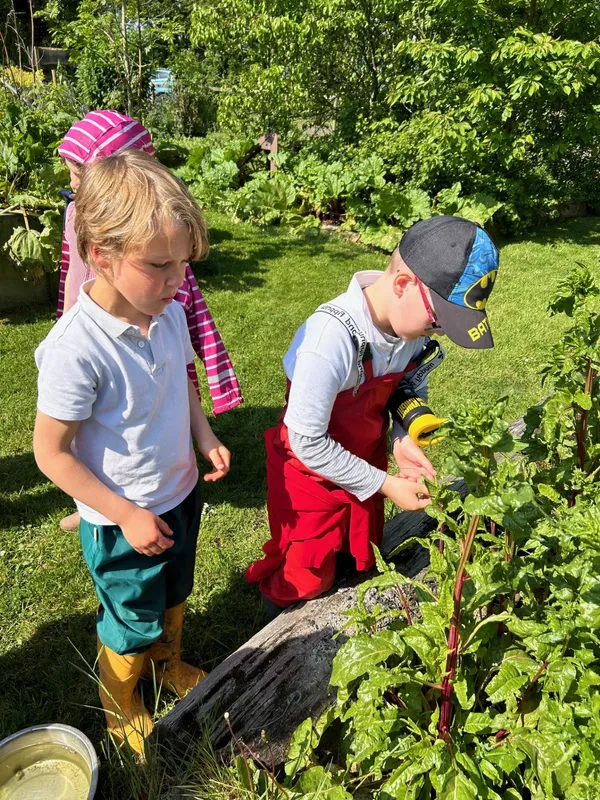 Gallery - created at 2024-05-10 11:40:23 - image 14