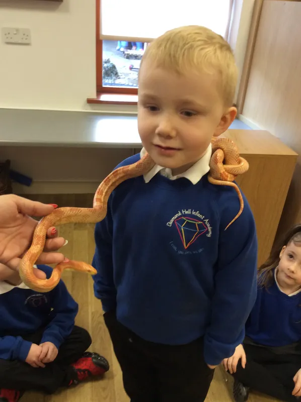 Gallery - created at 2024-02-26 17:15:57 - image 46 Gallery - created at 2024-02-26 17:15:57 - image 46