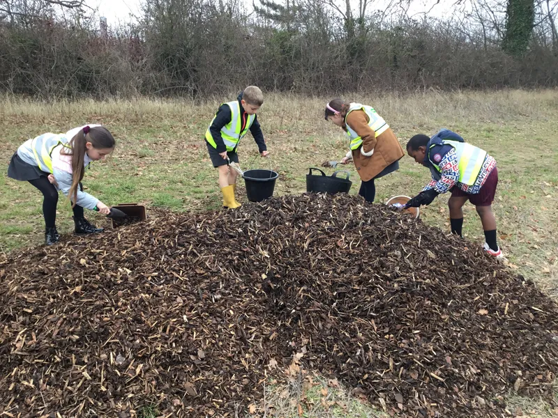 See our work in progress in this gallery! - image 55