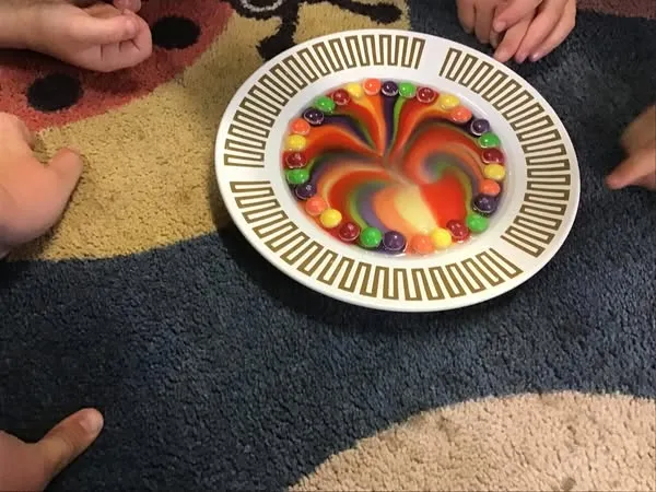 Science at Watton at Stone  - image 4